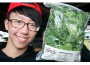 SPINACH SMALL SIZE LEAVES  300 Gram Bag  Pukekohe Grown